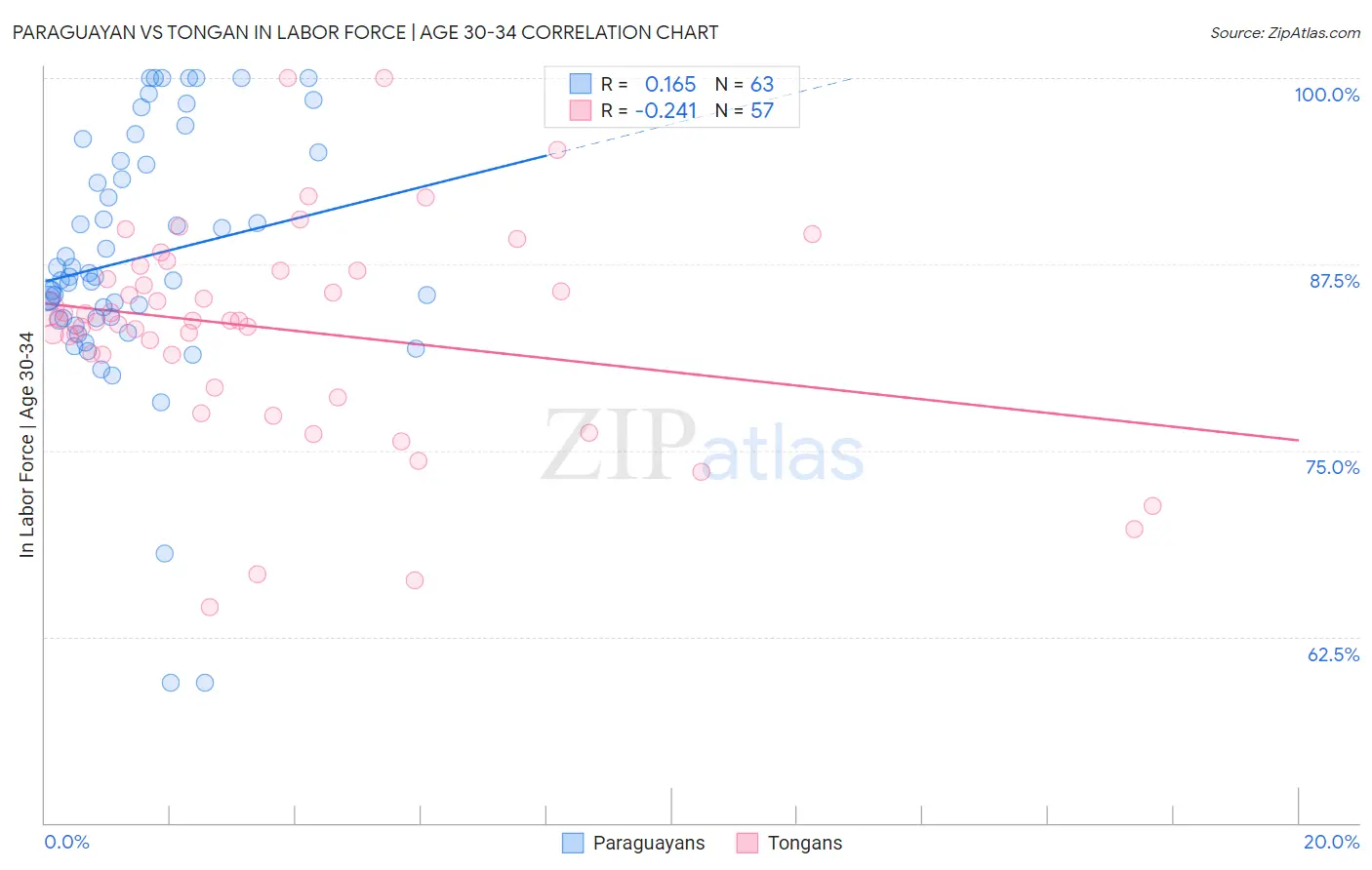 Paraguayan vs Tongan In Labor Force | Age 30-34