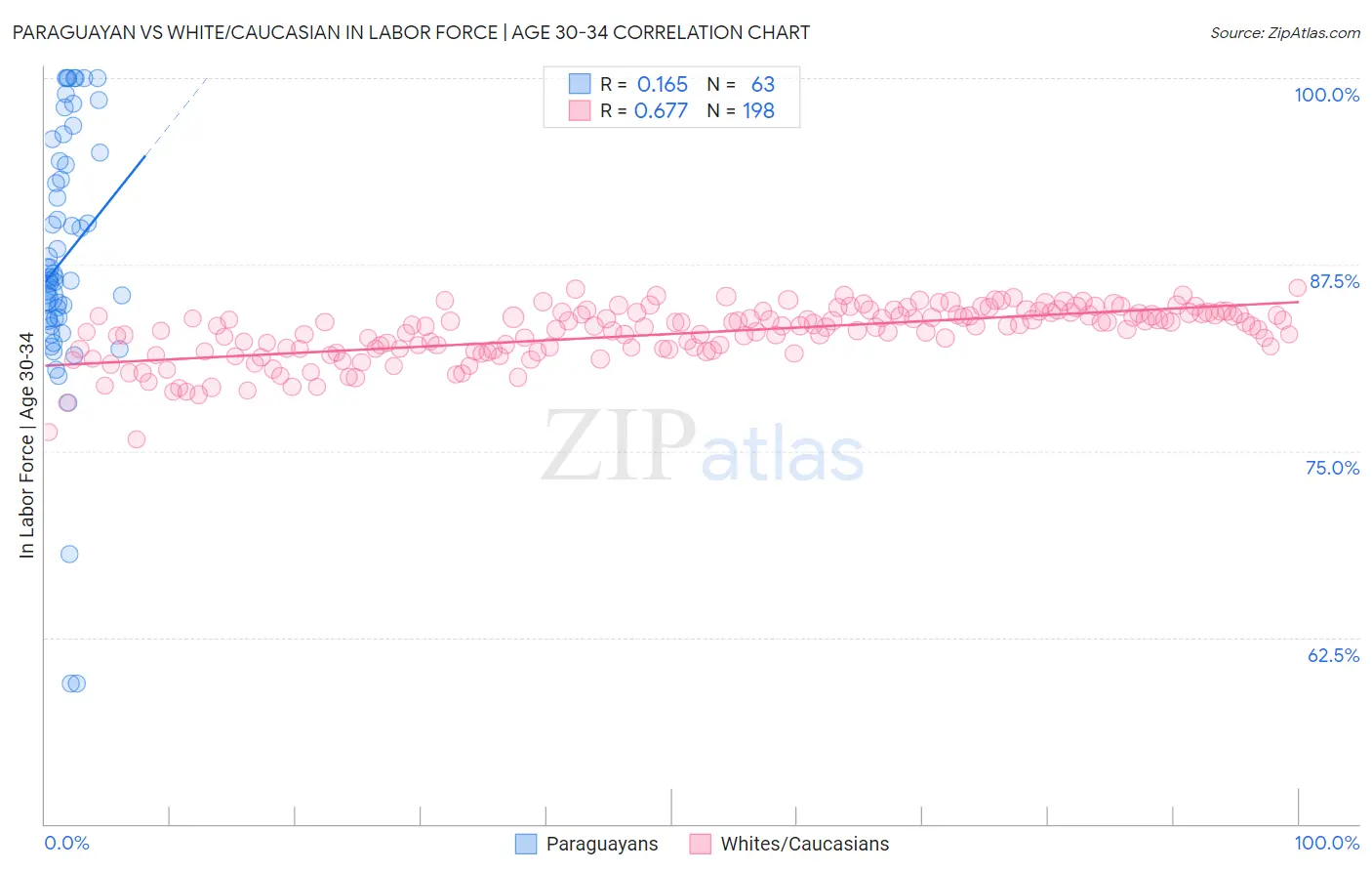 Paraguayan vs White/Caucasian In Labor Force | Age 30-34