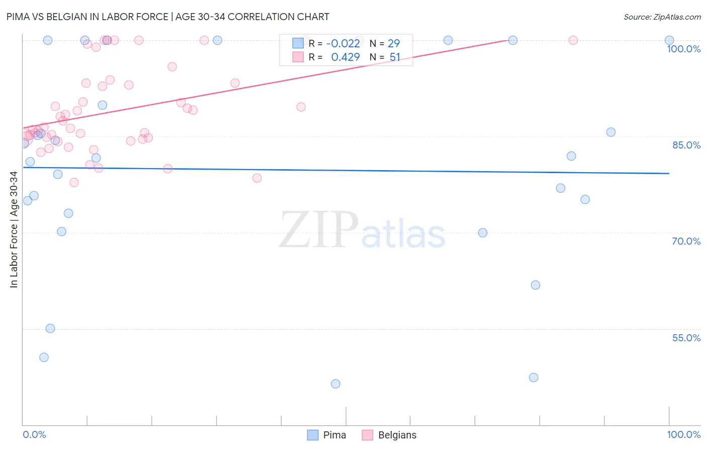 Pima vs Belgian In Labor Force | Age 30-34