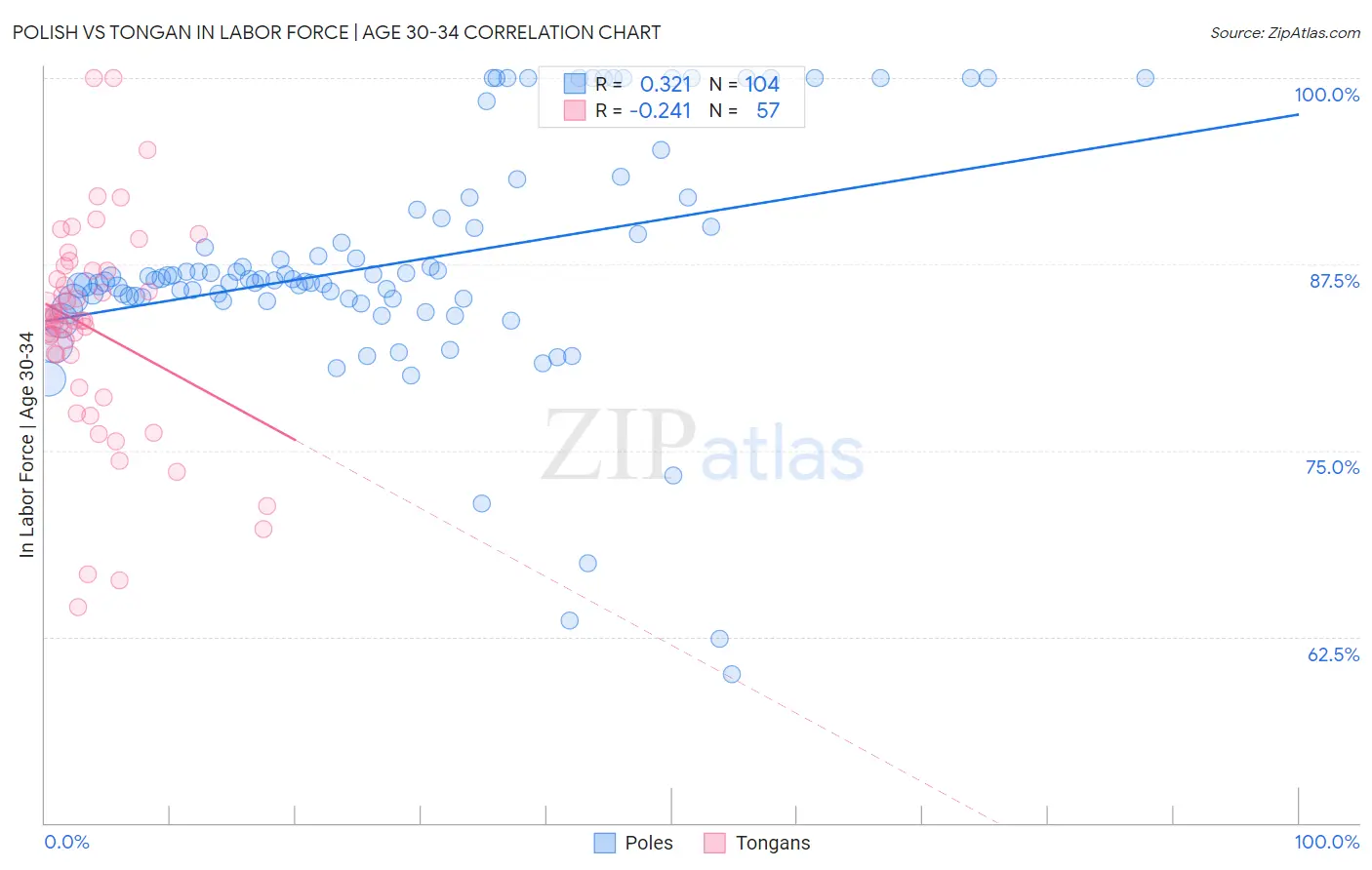 Polish vs Tongan In Labor Force | Age 30-34