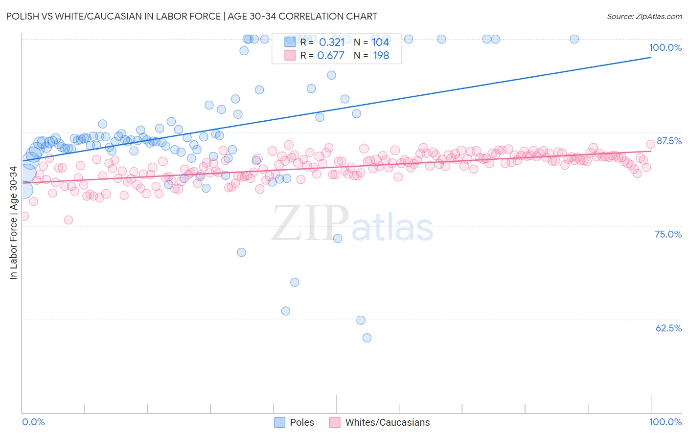 Polish vs White/Caucasian In Labor Force | Age 30-34