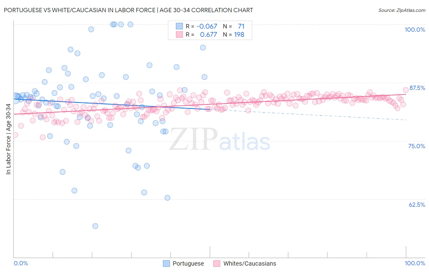 Portuguese vs White/Caucasian In Labor Force | Age 30-34