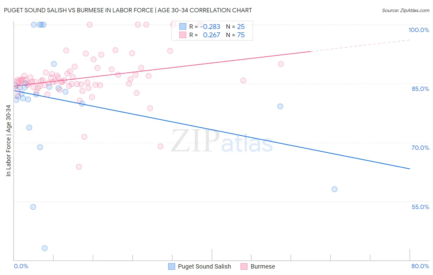 Puget Sound Salish vs Burmese In Labor Force | Age 30-34