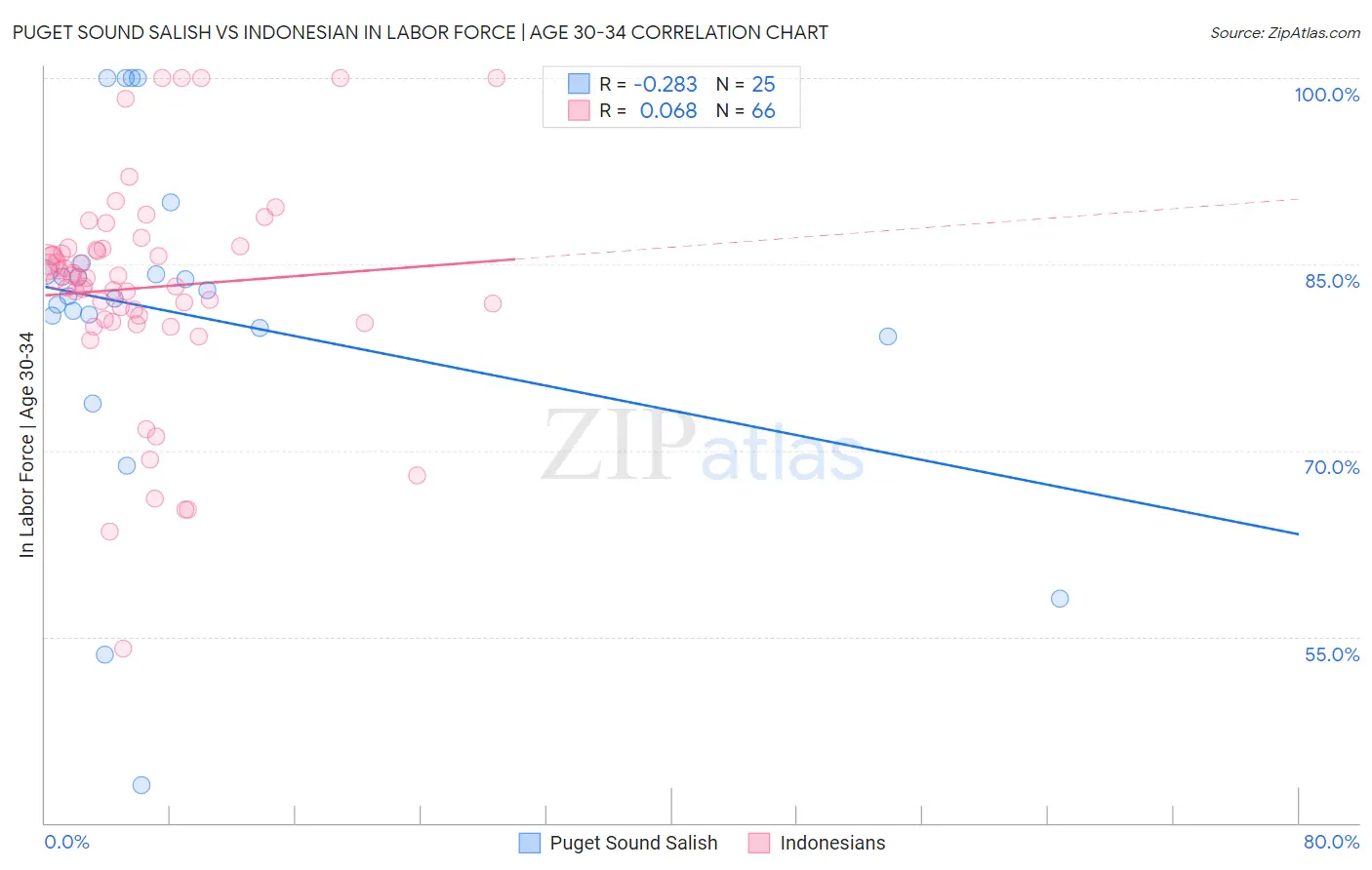 Puget Sound Salish vs Indonesian In Labor Force | Age 30-34