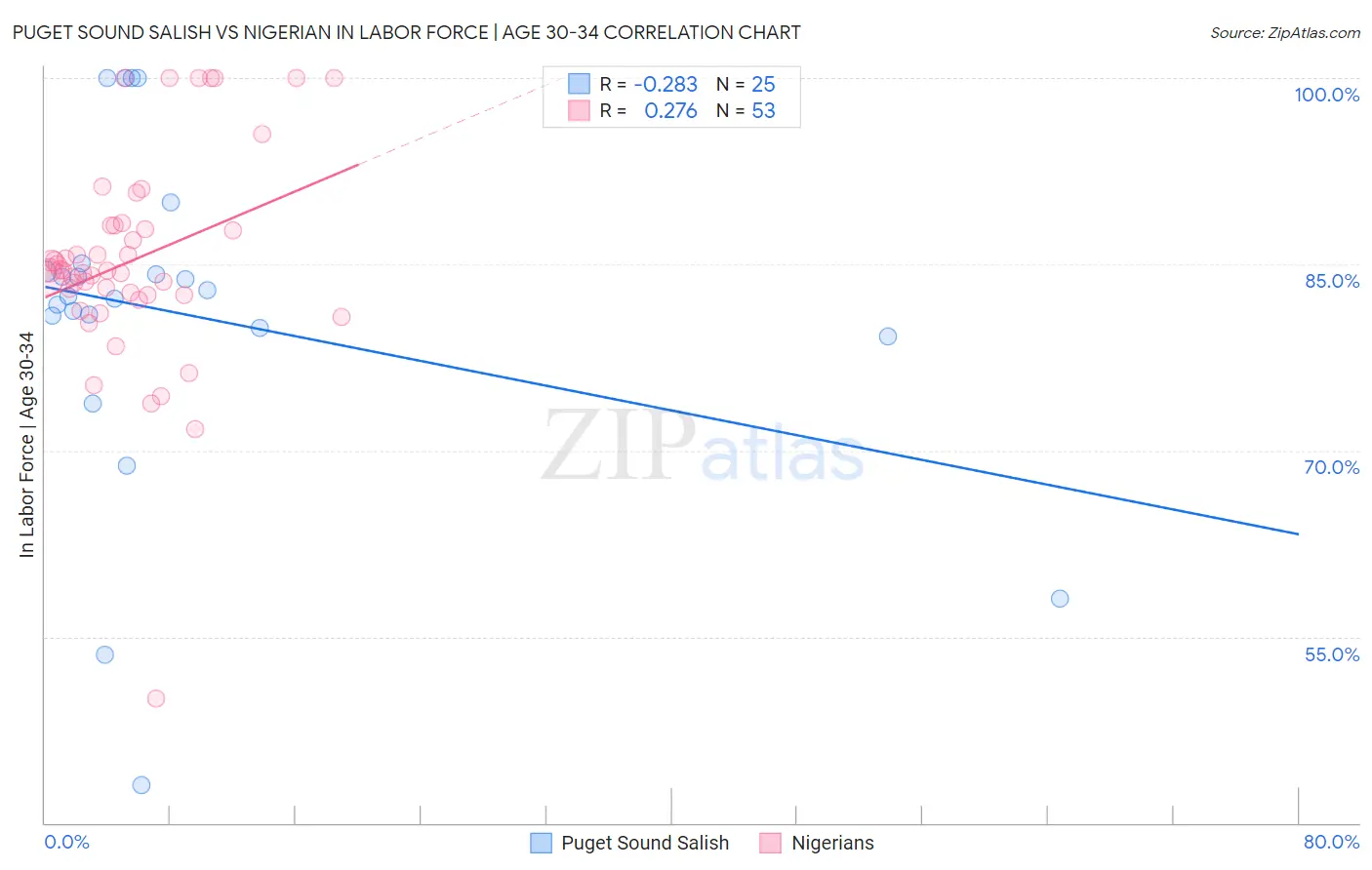 Puget Sound Salish vs Nigerian In Labor Force | Age 30-34