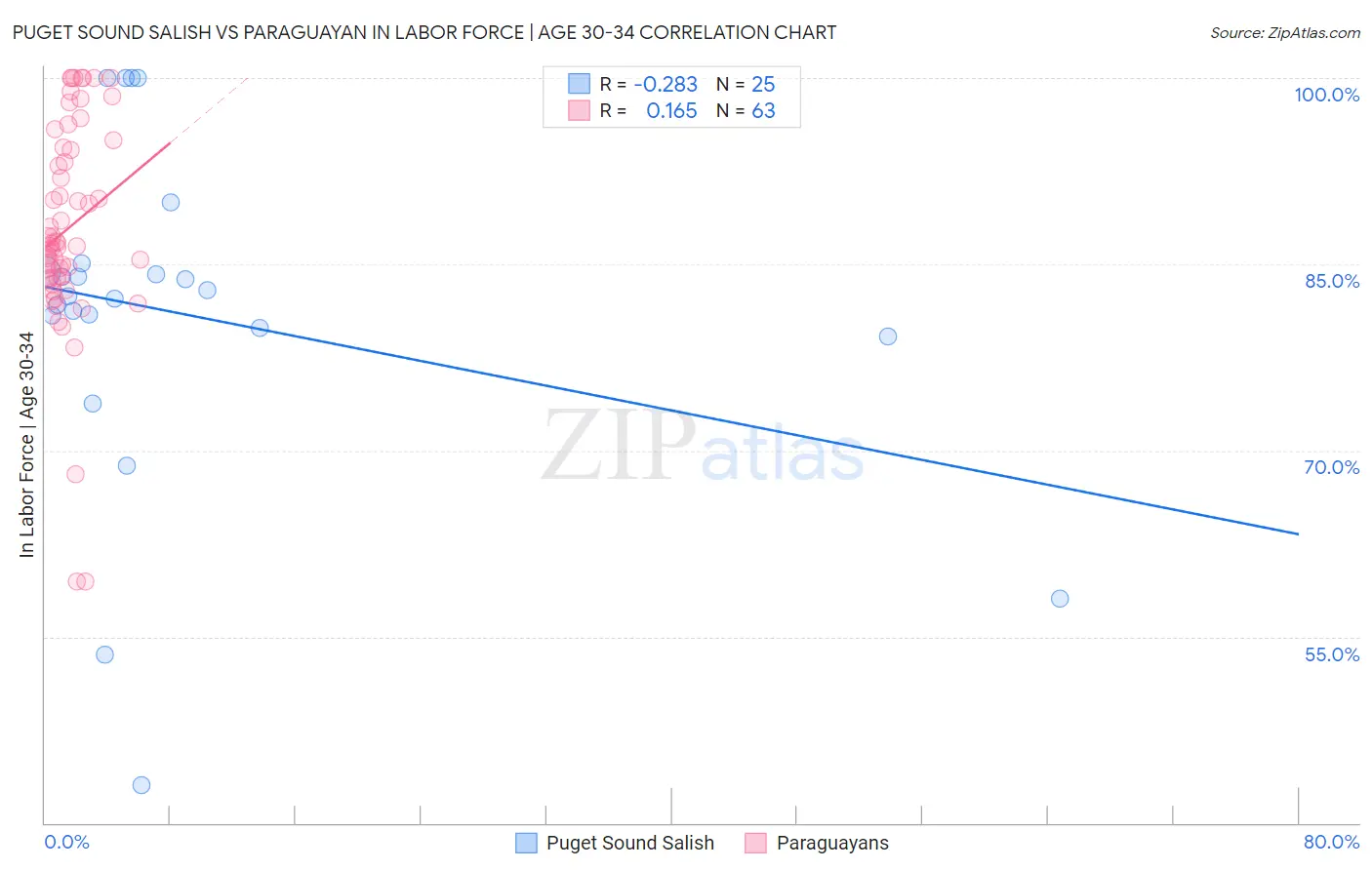 Puget Sound Salish vs Paraguayan In Labor Force | Age 30-34