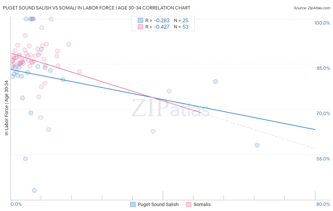 Puget Sound Salish vs Somali In Labor Force | Age 30-34