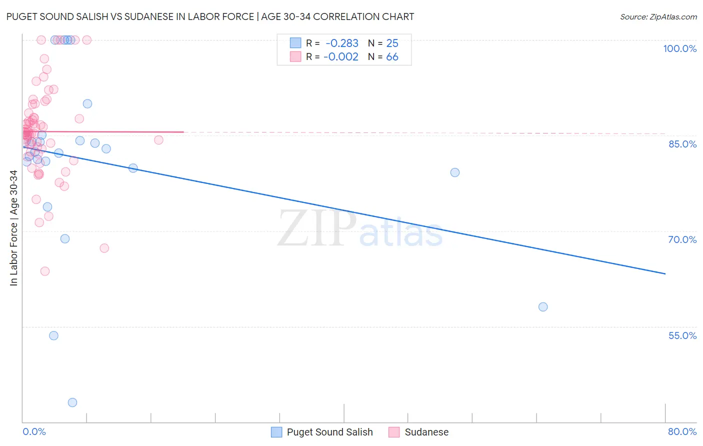 Puget Sound Salish vs Sudanese In Labor Force | Age 30-34