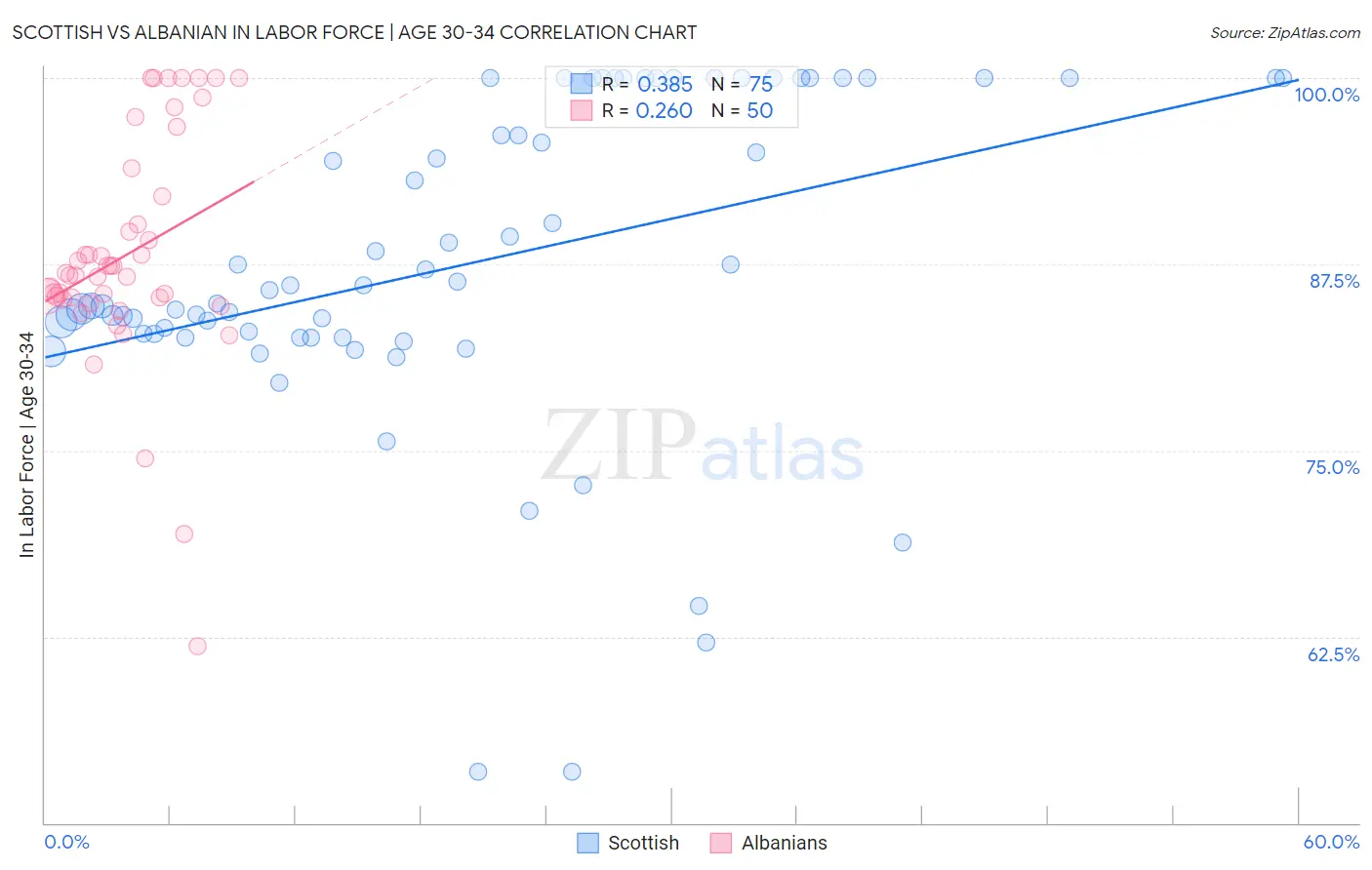 Scottish vs Albanian In Labor Force | Age 30-34