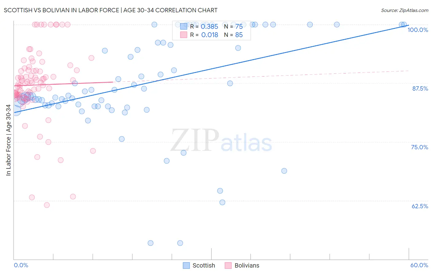 Scottish vs Bolivian In Labor Force | Age 30-34