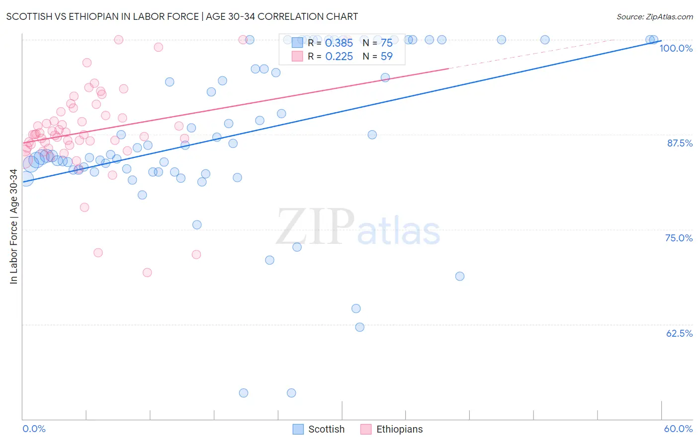 Scottish vs Ethiopian In Labor Force | Age 30-34