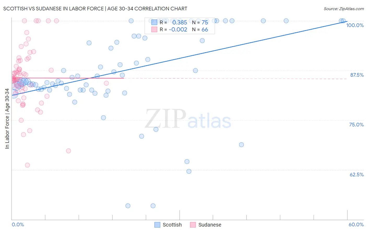 Scottish vs Sudanese In Labor Force | Age 30-34