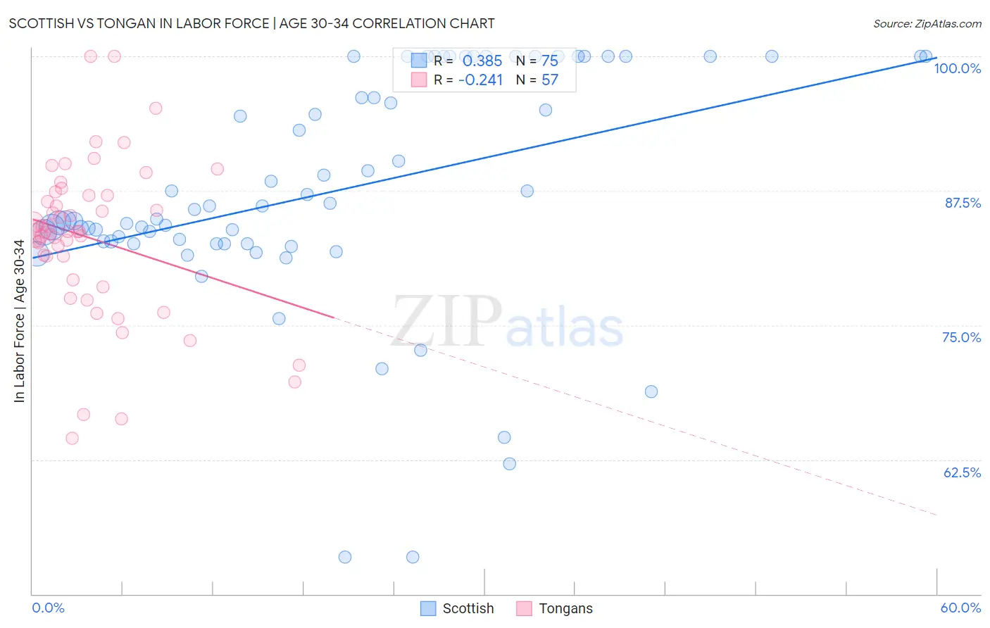 Scottish vs Tongan In Labor Force | Age 30-34