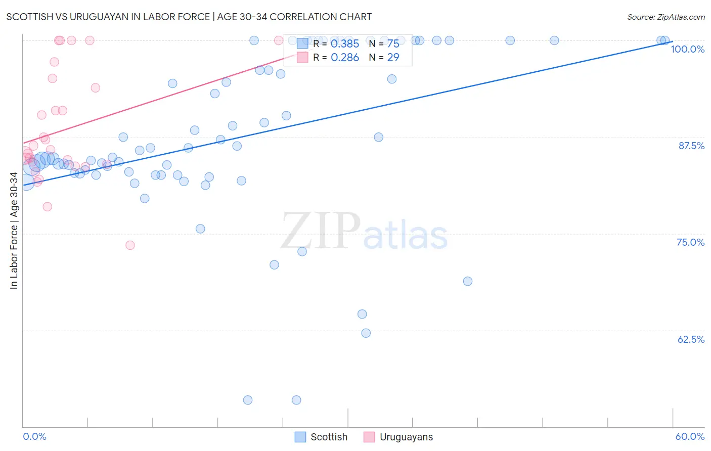 Scottish vs Uruguayan In Labor Force | Age 30-34