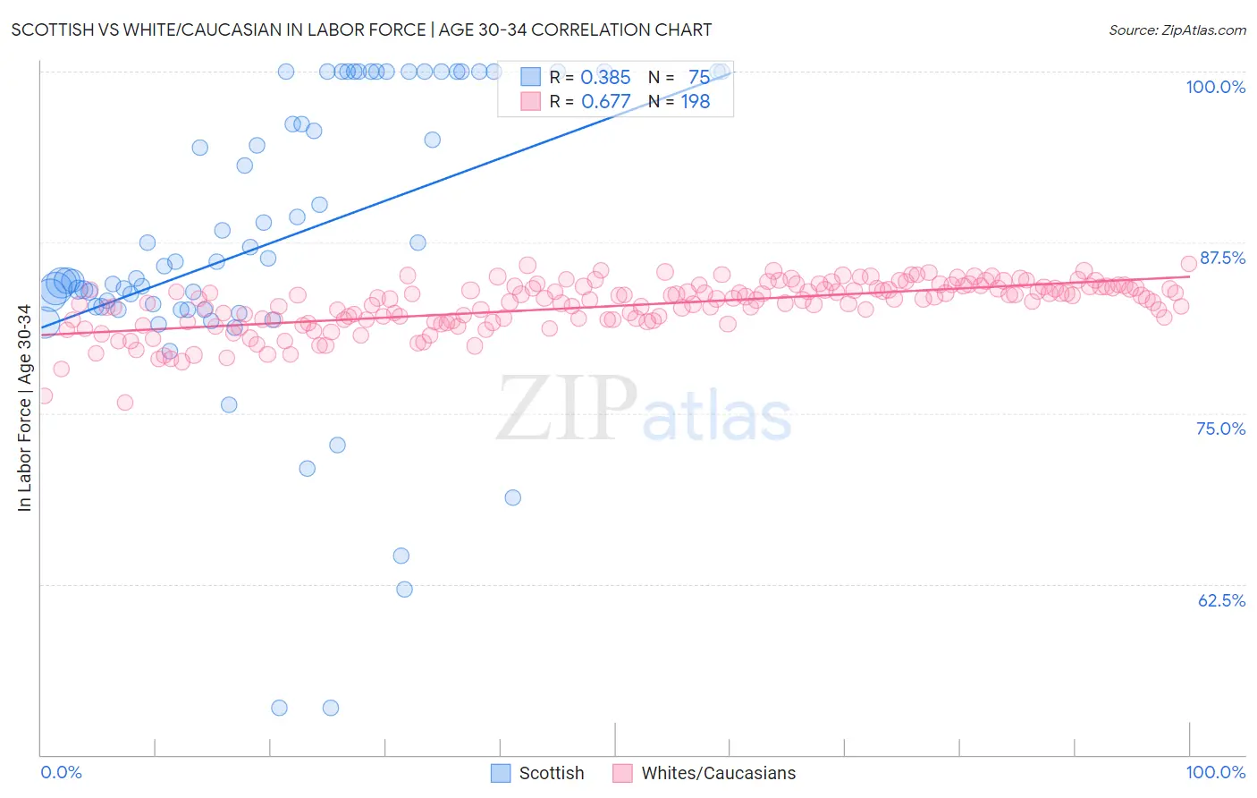 Scottish vs White/Caucasian In Labor Force | Age 30-34