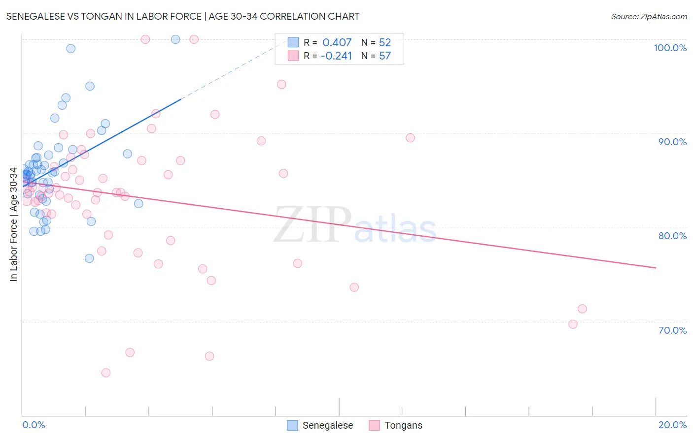 Senegalese vs Tongan In Labor Force | Age 30-34