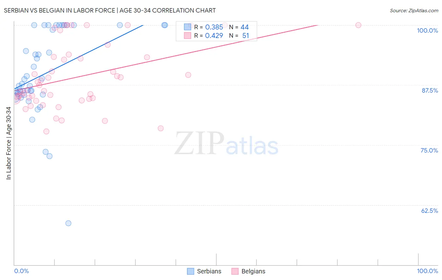 Serbian vs Belgian In Labor Force | Age 30-34