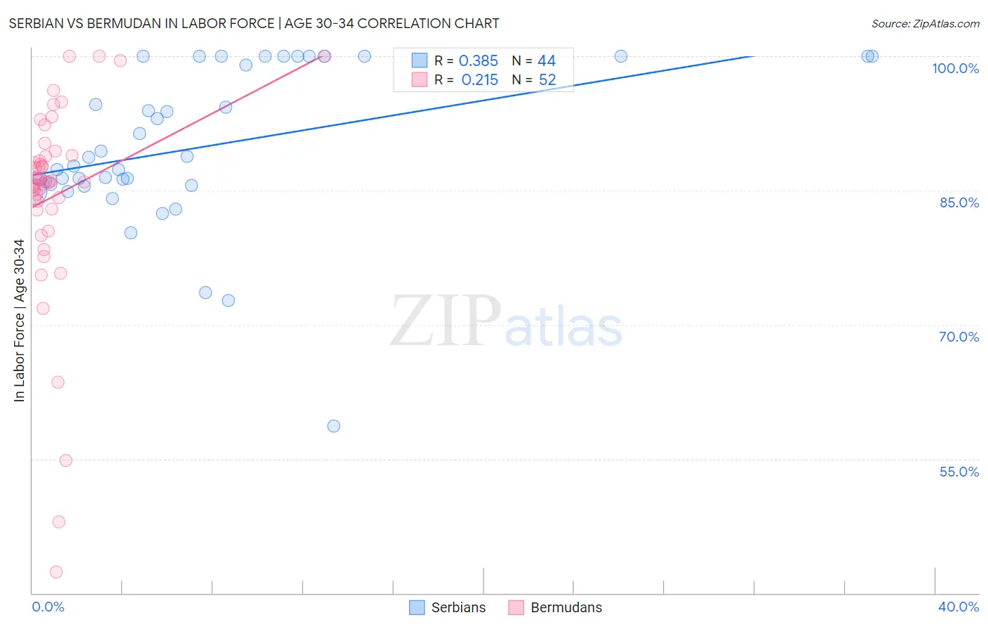 Serbian vs Bermudan In Labor Force | Age 30-34