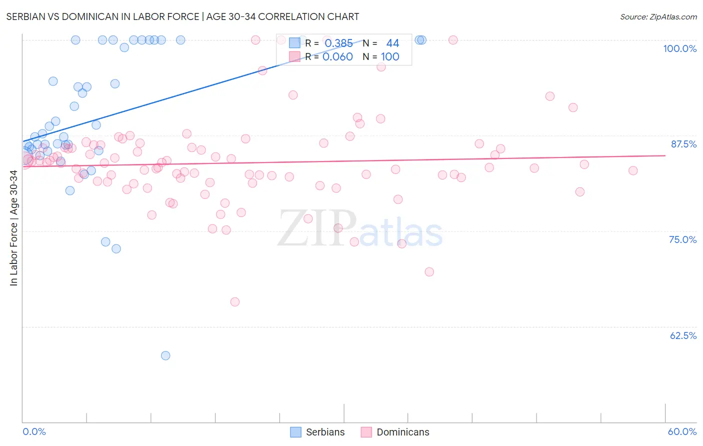 Serbian vs Dominican In Labor Force | Age 30-34