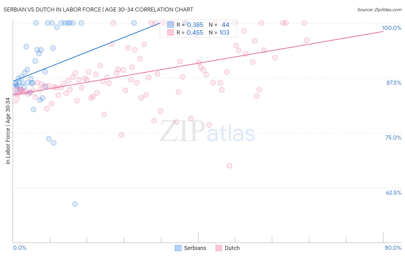 Serbian vs Dutch In Labor Force | Age 30-34