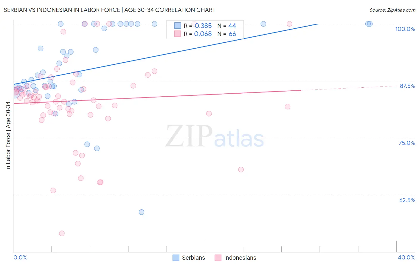 Serbian vs Indonesian In Labor Force | Age 30-34
