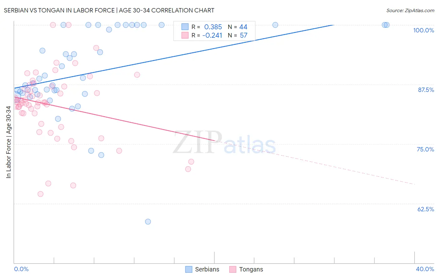 Serbian vs Tongan In Labor Force | Age 30-34
