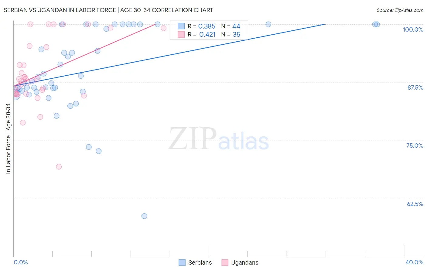 Serbian vs Ugandan In Labor Force | Age 30-34