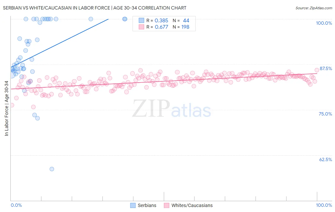 Serbian vs White/Caucasian In Labor Force | Age 30-34