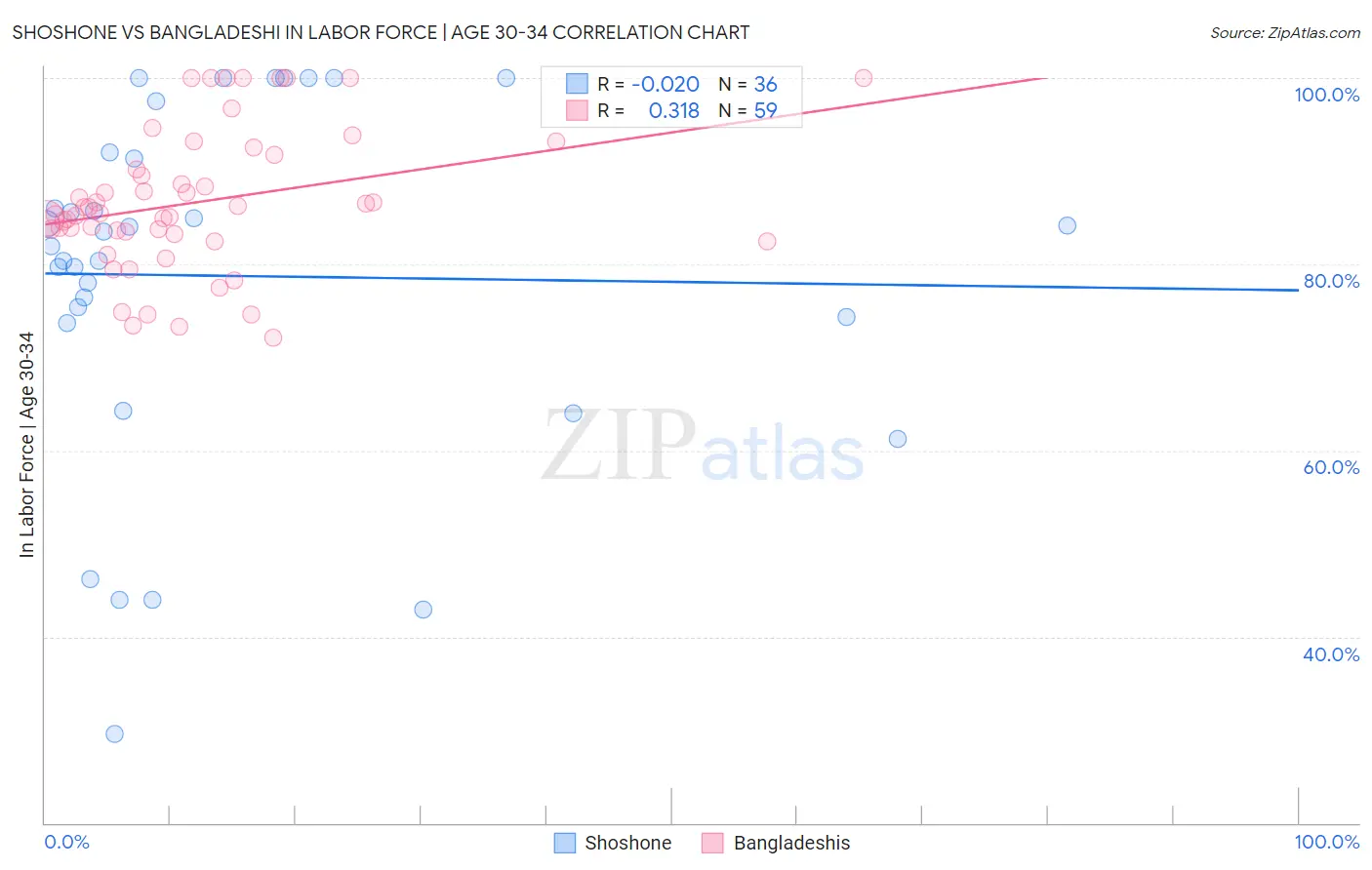 Shoshone vs Bangladeshi In Labor Force | Age 30-34