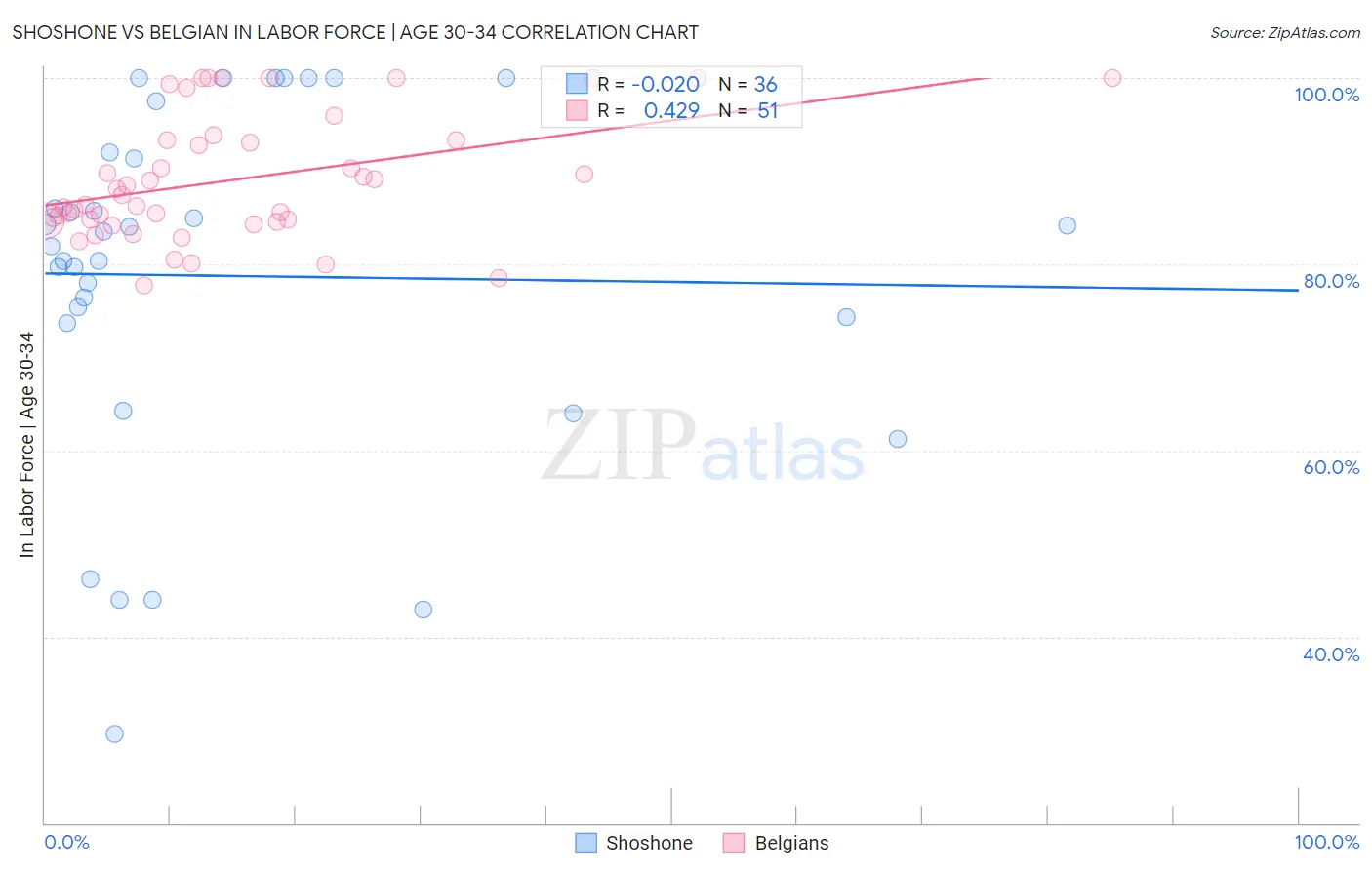 Shoshone vs Belgian In Labor Force | Age 30-34