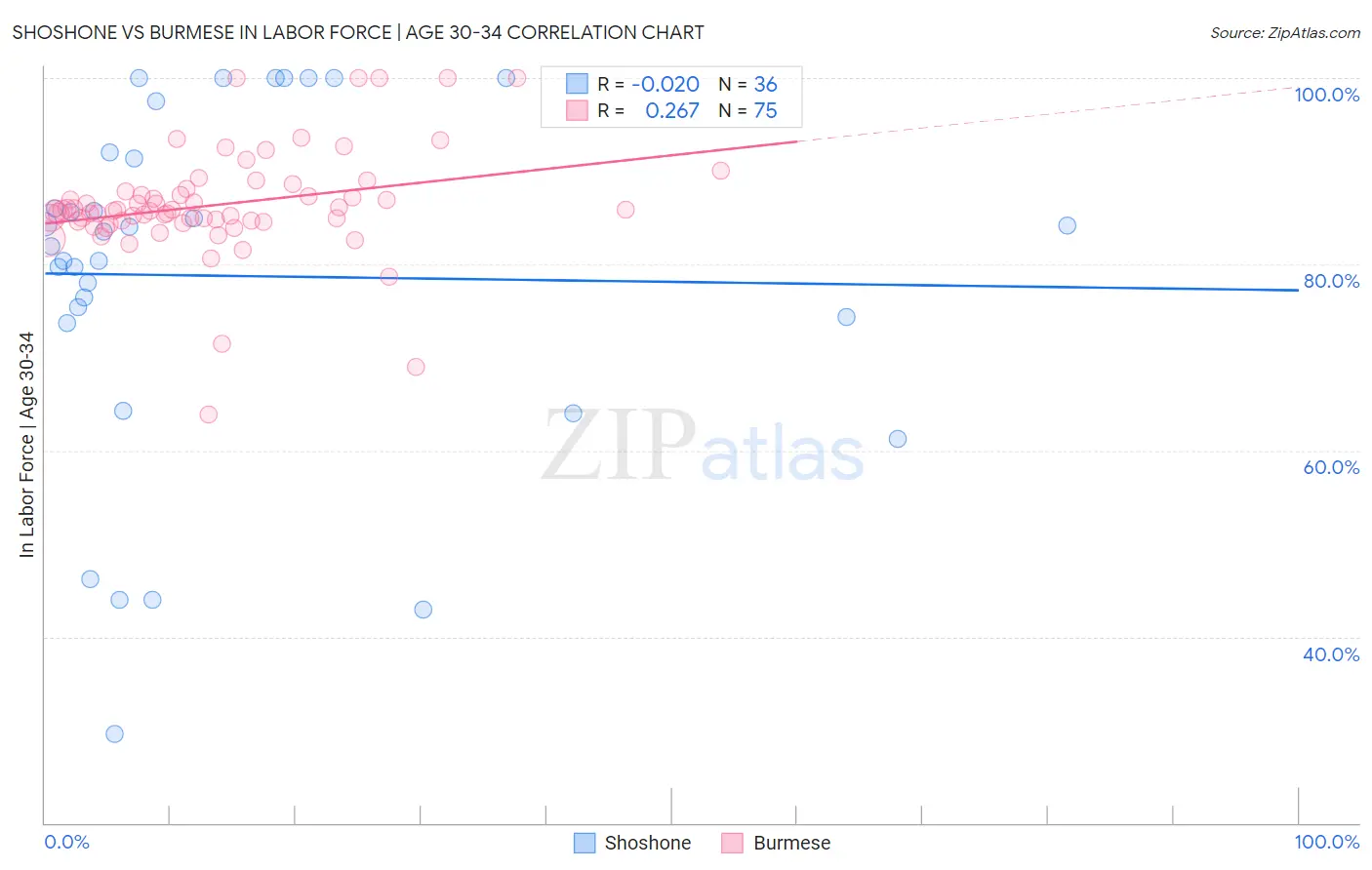 Shoshone vs Burmese In Labor Force | Age 30-34
