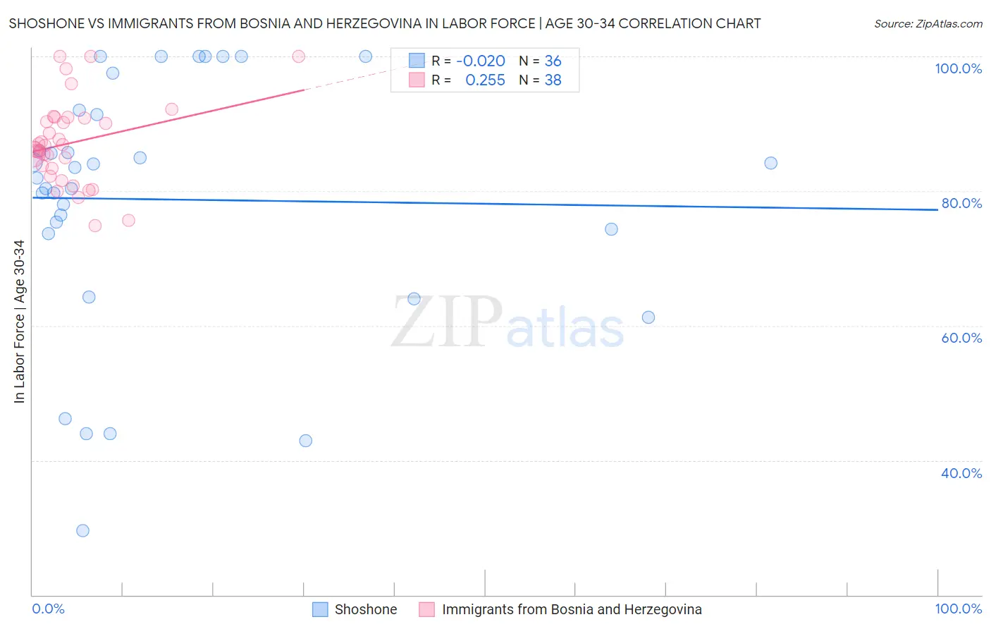 Shoshone vs Immigrants from Bosnia and Herzegovina In Labor Force | Age 30-34