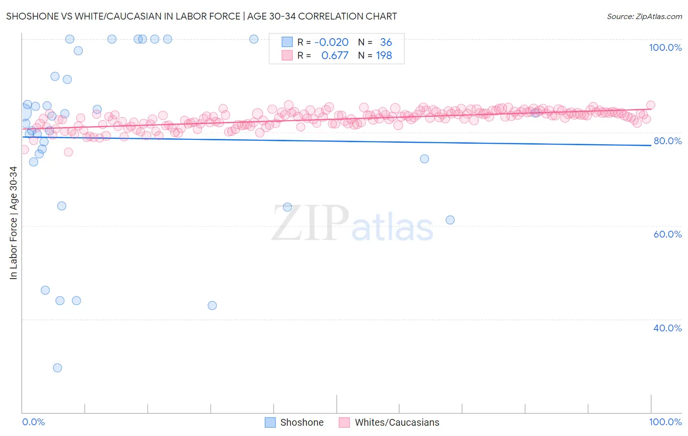 Shoshone vs White/Caucasian In Labor Force | Age 30-34