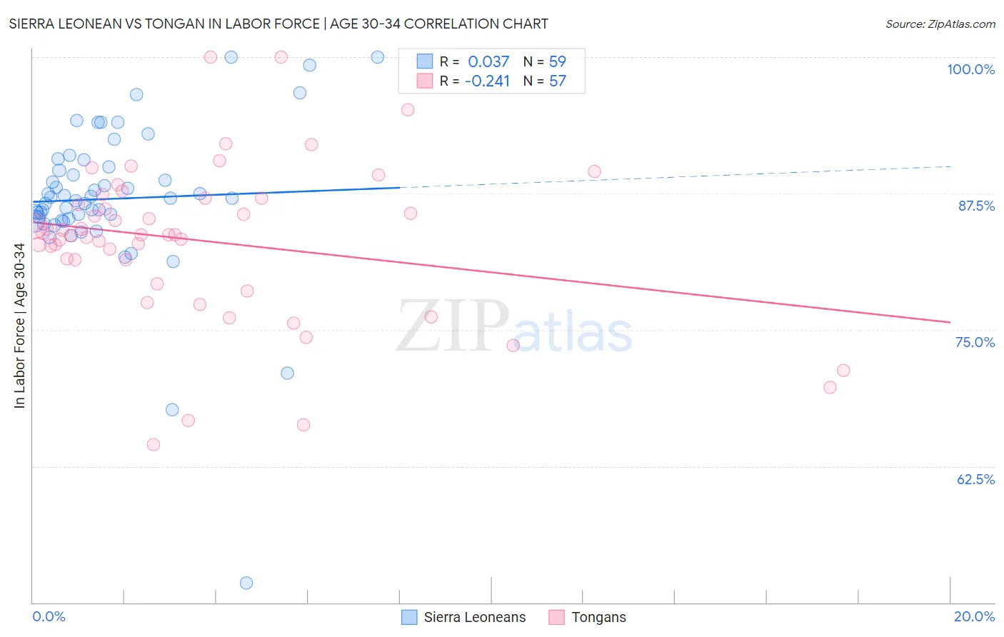 Sierra Leonean vs Tongan In Labor Force | Age 30-34