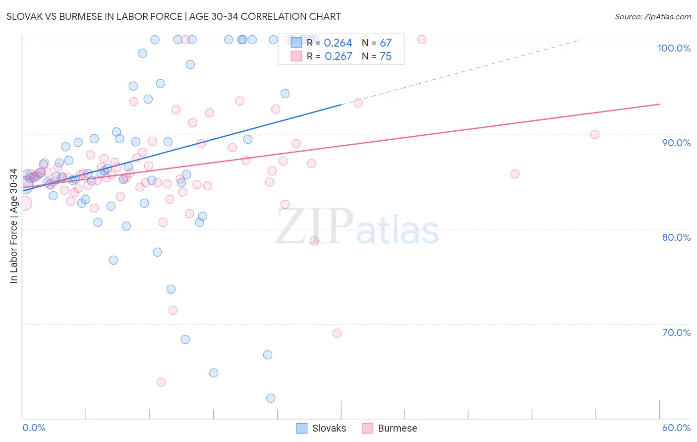 Slovak vs Burmese In Labor Force | Age 30-34
