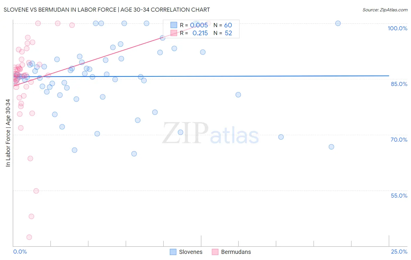 Slovene vs Bermudan In Labor Force | Age 30-34