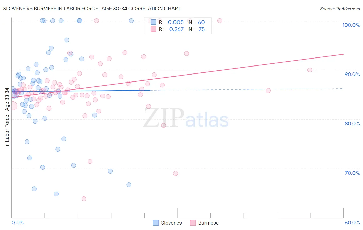 Slovene vs Burmese In Labor Force | Age 30-34