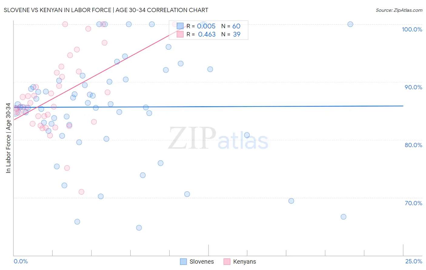 Slovene vs Kenyan In Labor Force | Age 30-34