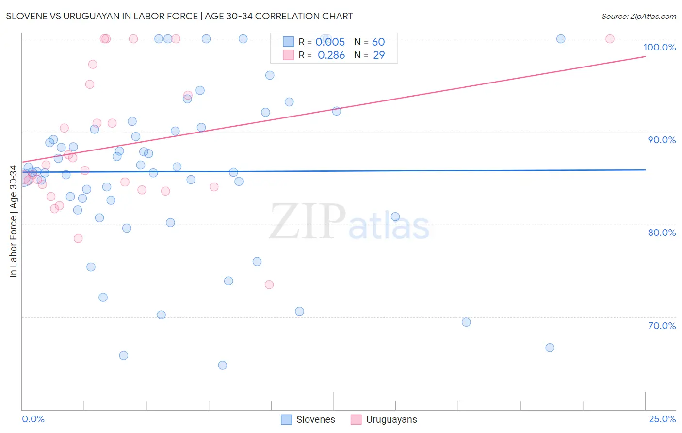 Slovene vs Uruguayan In Labor Force | Age 30-34