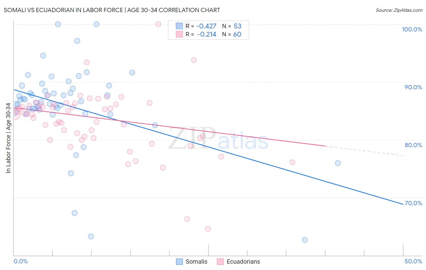 Somali vs Ecuadorian In Labor Force | Age 30-34