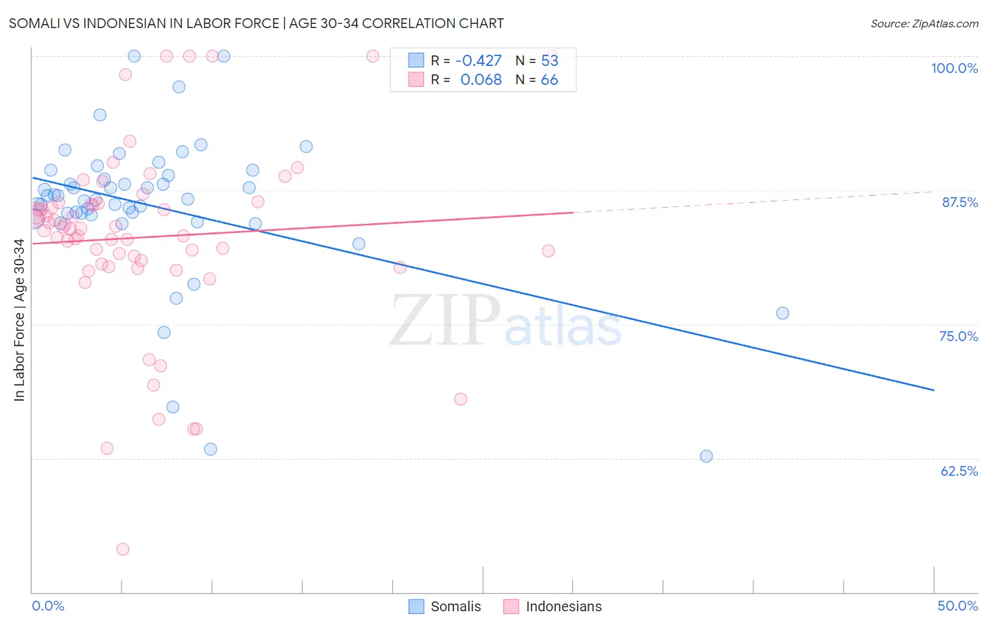 Somali vs Indonesian In Labor Force | Age 30-34