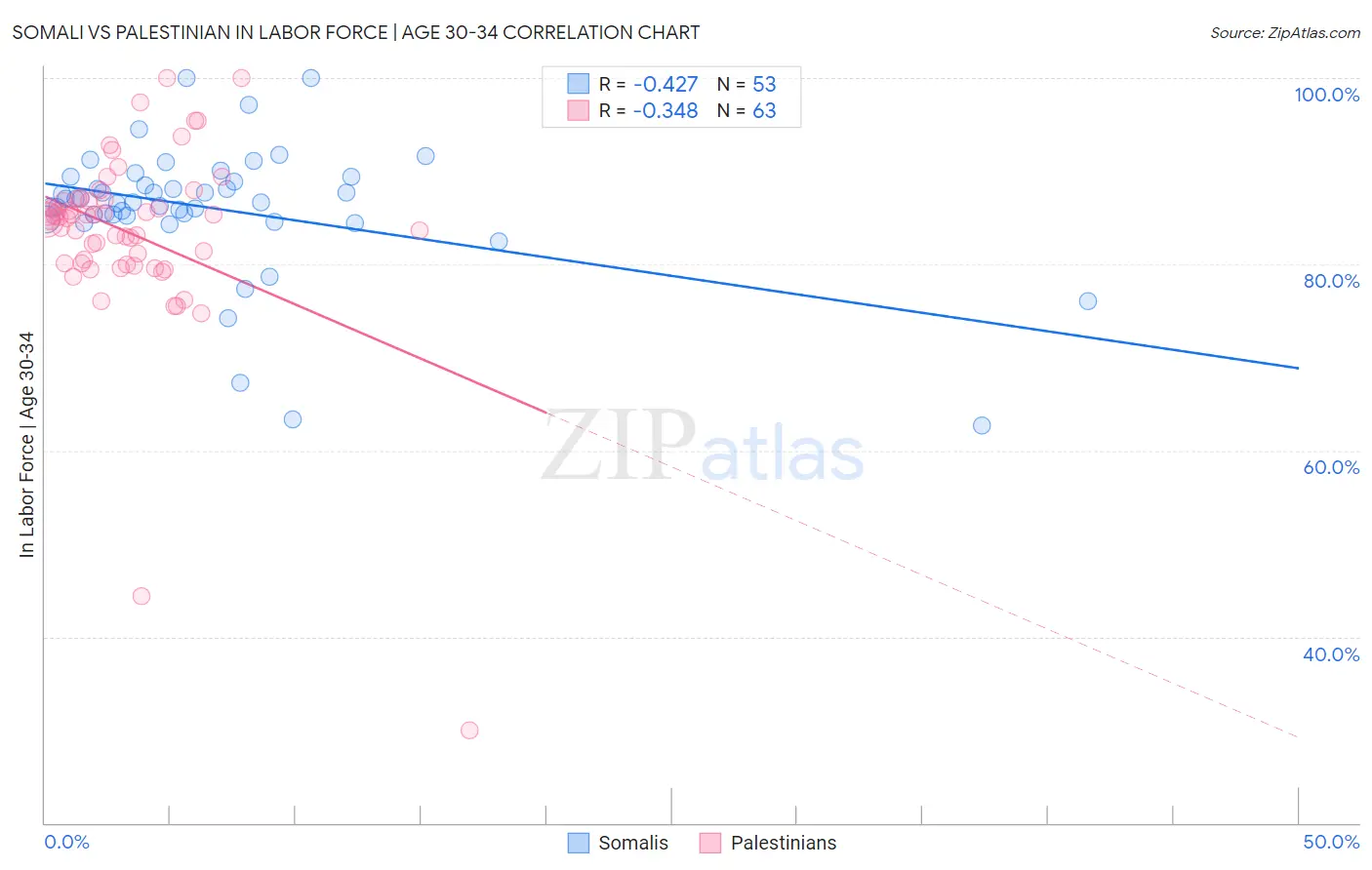 Somali vs Palestinian In Labor Force | Age 30-34