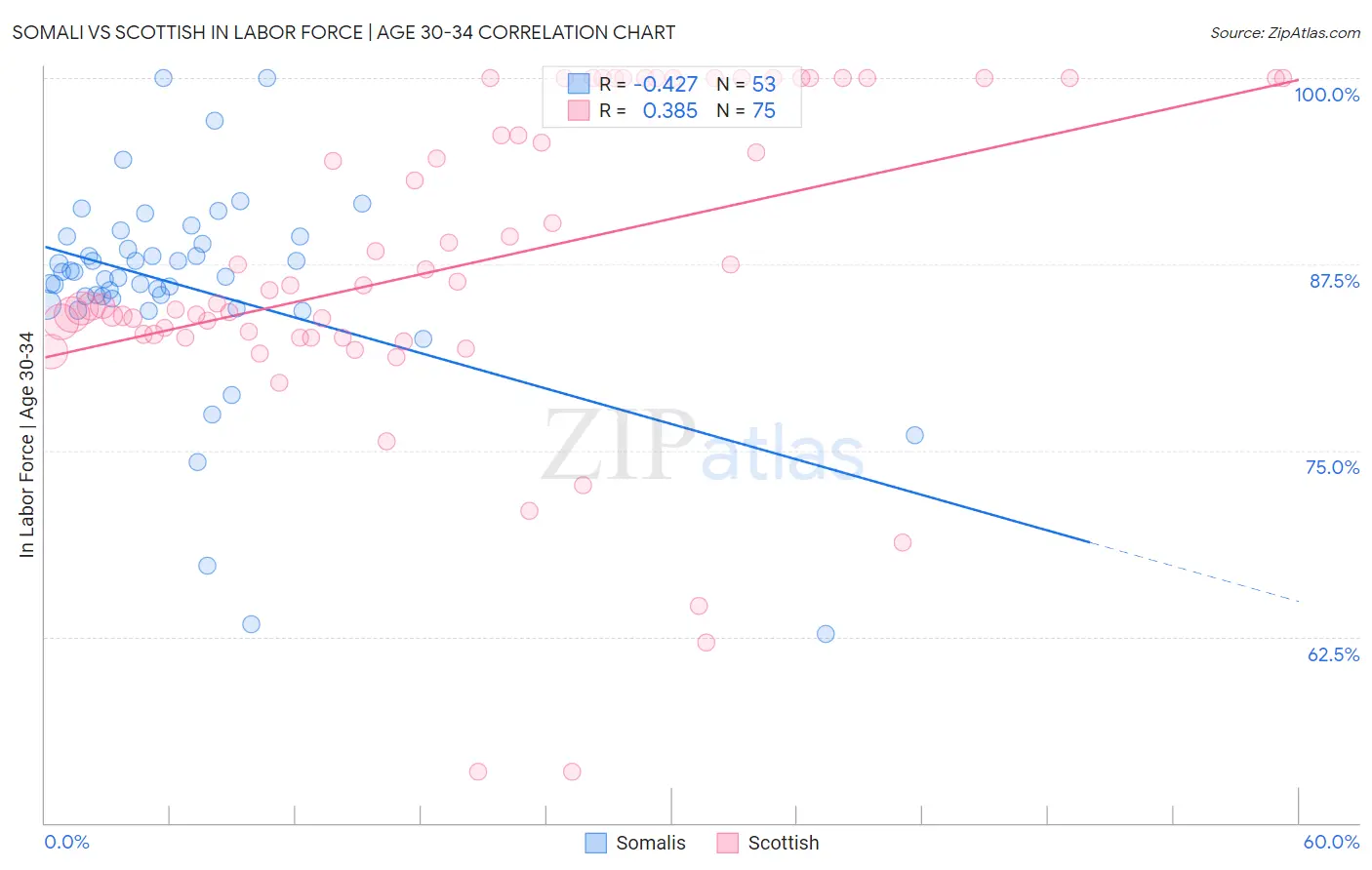 Somali vs Scottish In Labor Force | Age 30-34