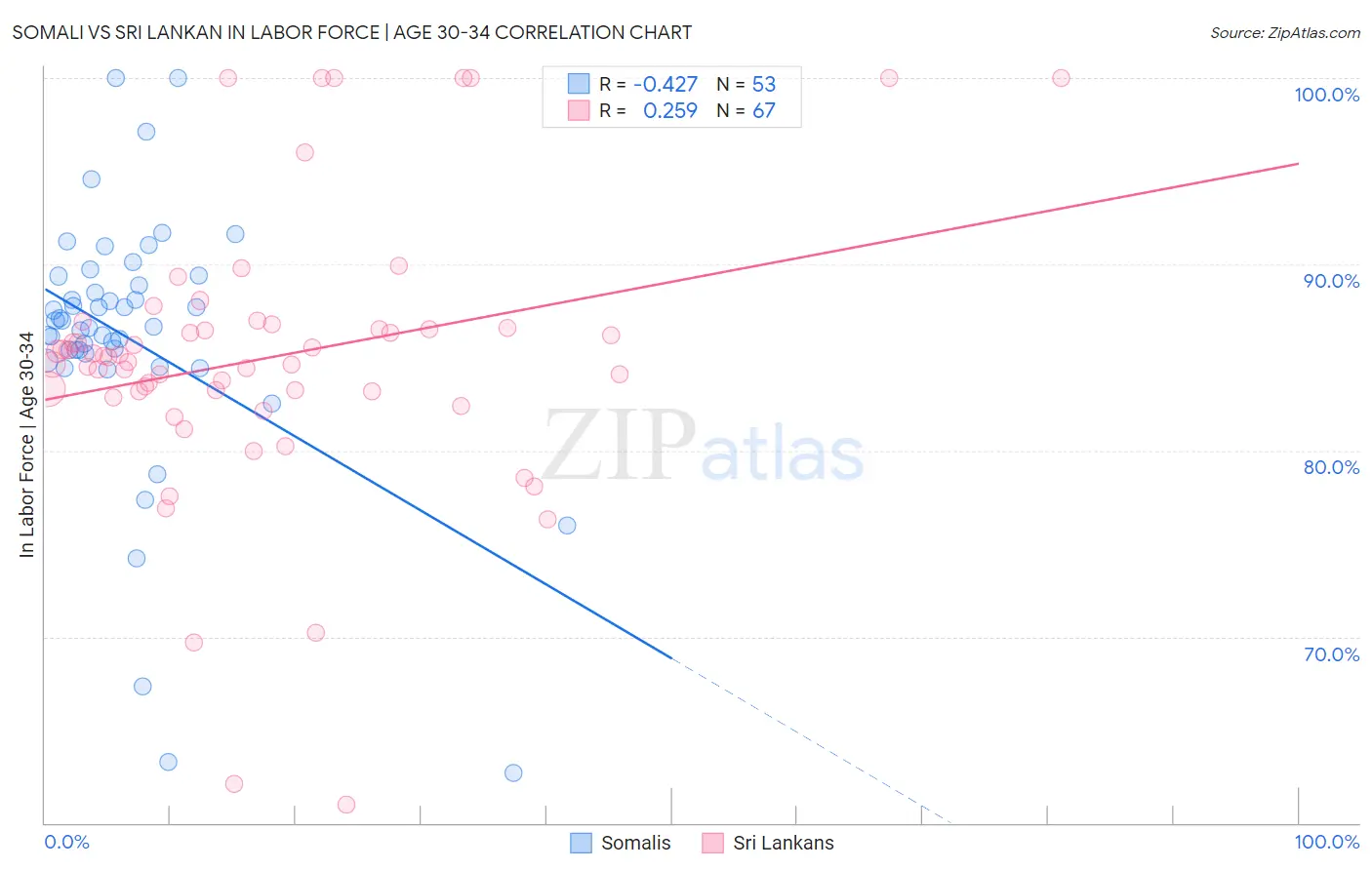 Somali vs Sri Lankan In Labor Force | Age 30-34