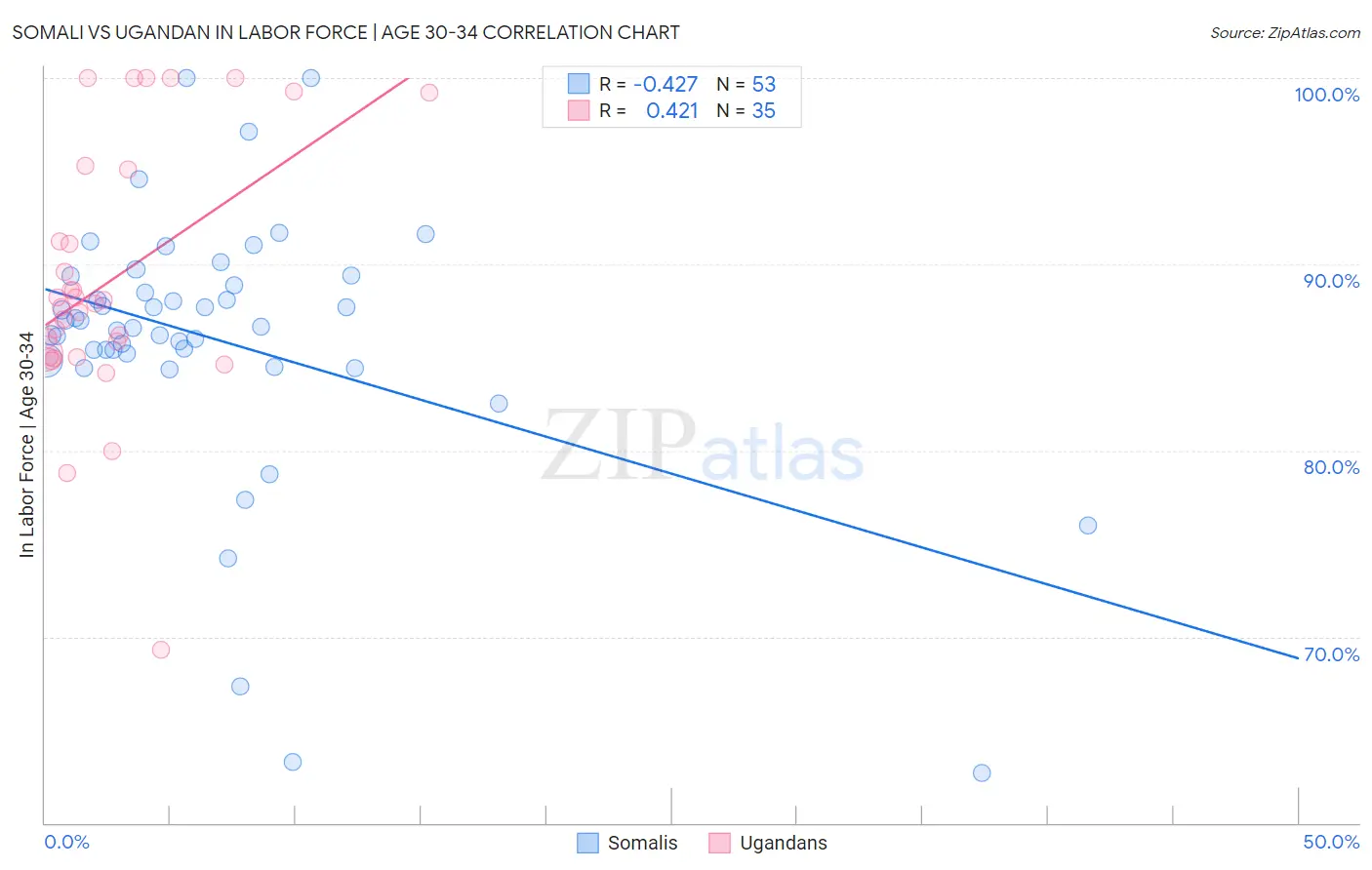 Somali vs Ugandan In Labor Force | Age 30-34