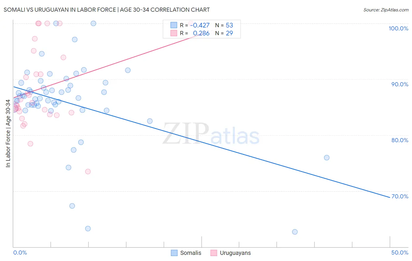 Somali vs Uruguayan In Labor Force | Age 30-34