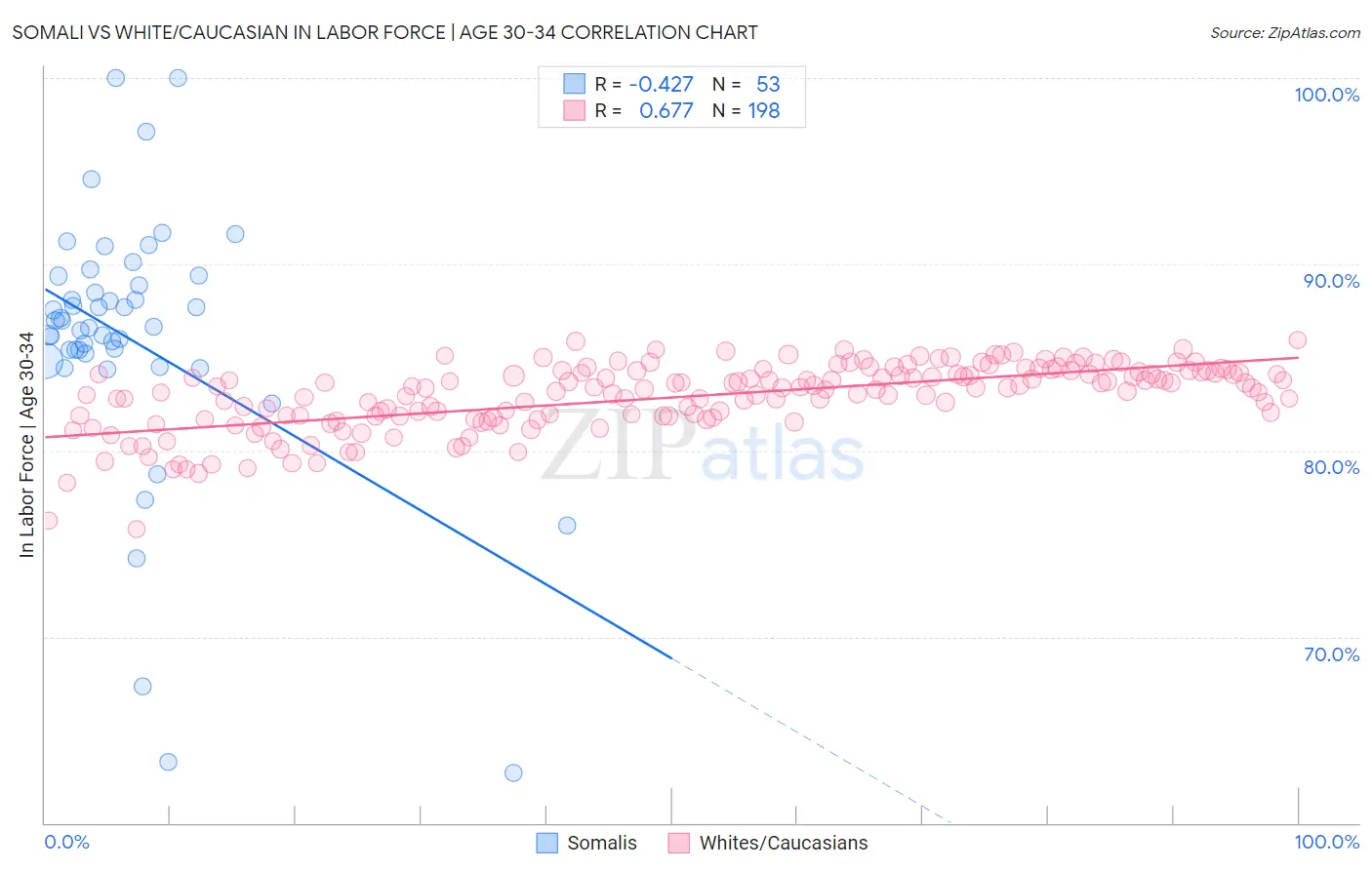 Somali vs White/Caucasian In Labor Force | Age 30-34