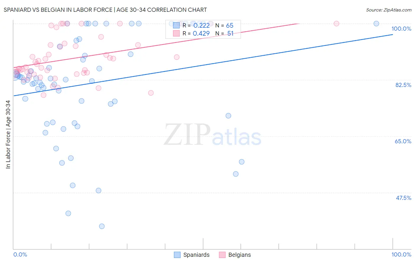Spaniard vs Belgian In Labor Force | Age 30-34