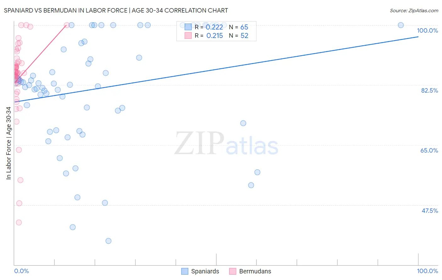 Spaniard vs Bermudan In Labor Force | Age 30-34