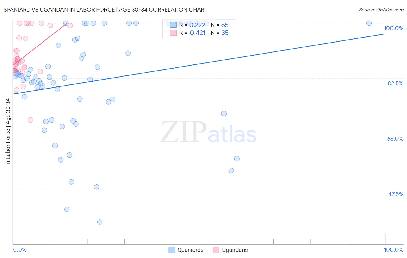 Spaniard vs Ugandan In Labor Force | Age 30-34